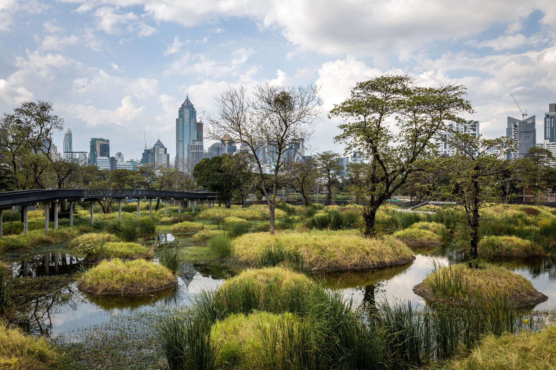 Benjakitti Forest Park Bangkok ecological green space with wetland paths, skyline views, and outdoor activity areas